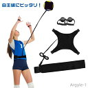 【送料無料】レシーブ トス 練習器具 上達 バレー練習 1人 トレーニング サーブ練習 サービス サーブ 自主練 練習 トレーナー バレーボール