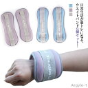 【送料無料】トレーニング 自宅 脚用 足 宅トレ 腕 足首 2個セット アンクルウエイト 在宅筋トレ 重り パワーリスト