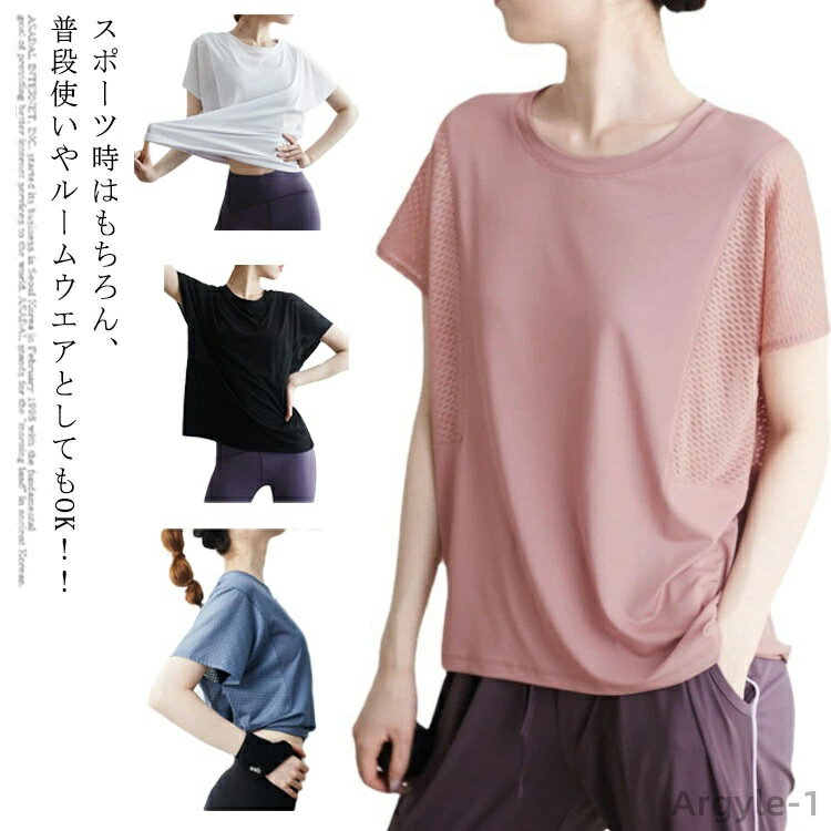 ̵۷ ۴® ȥ꡼ T 󥯥ȥå ۥåȥ襬  襤 ǥ 襬 ȥåץ 襬