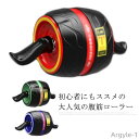 【送料無料】初心者 女性 エクササイズ 超静音 ボディビル 膝マット付き 筋トレ ダイエット トレーニング アブローラー 腹筋 腹筋ローラー