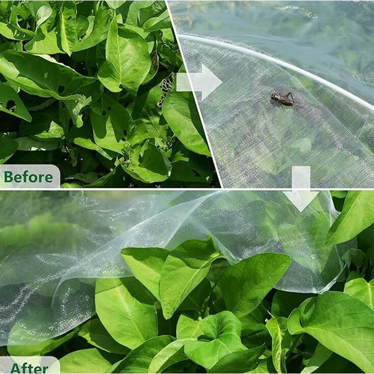 アーガイルの防虫ネット 園芸 3x10m 2x10m 大型 虫除けネット 虫よけネット 畑 菜園用防虫ネット｜アングル3