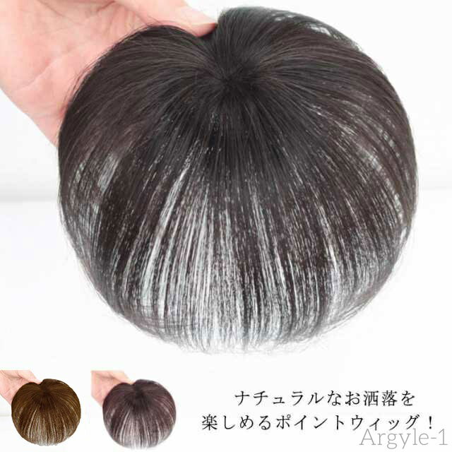 【送料無料】普段使い かつら ポイントウィッグ 部分ウィッグ レディース 付け毛 脱毛症 薄毛 白髪隠れ