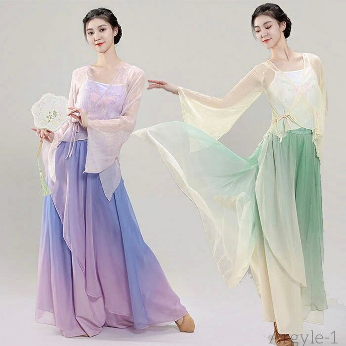 【送料無料】ダンス衣装 長袖 トップス インナー付き ロング丈 シフォン ガウチョパンツ ワイド パンツ フレアスカート 美しい 蝶柄 ふんわり シフォン パンツ ダンス