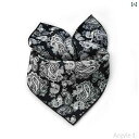 【送料無料】スカーフ メンズ レディース おしゃれ ストール スーツ 紳士 フォーマル 正方形 春秋 襟 ブラック ペイズリー柄