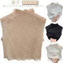【送料無料】首 カットソー つけ襟 カットソー シースルー おしゃれ シースルー メロウネック 夏 薄手 付け襟 総レース 付け衿 ハイネック