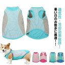 【送料無料】犬 服 クール ウェア 濡らして 着せる 濡らす メッシュ 冷感 ひんやり 瞬間 冷却 気化熱 犬服 夏服 大型犬 タンクトップ ペットウェア 犬用...