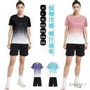 【送料無料】ショートパンツ 半袖Tシャツ 吸汗速乾 接触冷感 セットアップ 上下セット ストレッチ 薄手 スポーツウェア ジャージ 半袖カットソー 短パン 夏 ...