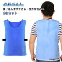 【送料無料】2枚セット 冷却ベスト 水冷 クールベスト 冷感ベスト 物理冷却 冷たい 熱中症 濡らして簡単 猛暑対策 冷却服 ひんやりグッズ 保冷 工事現場 工...