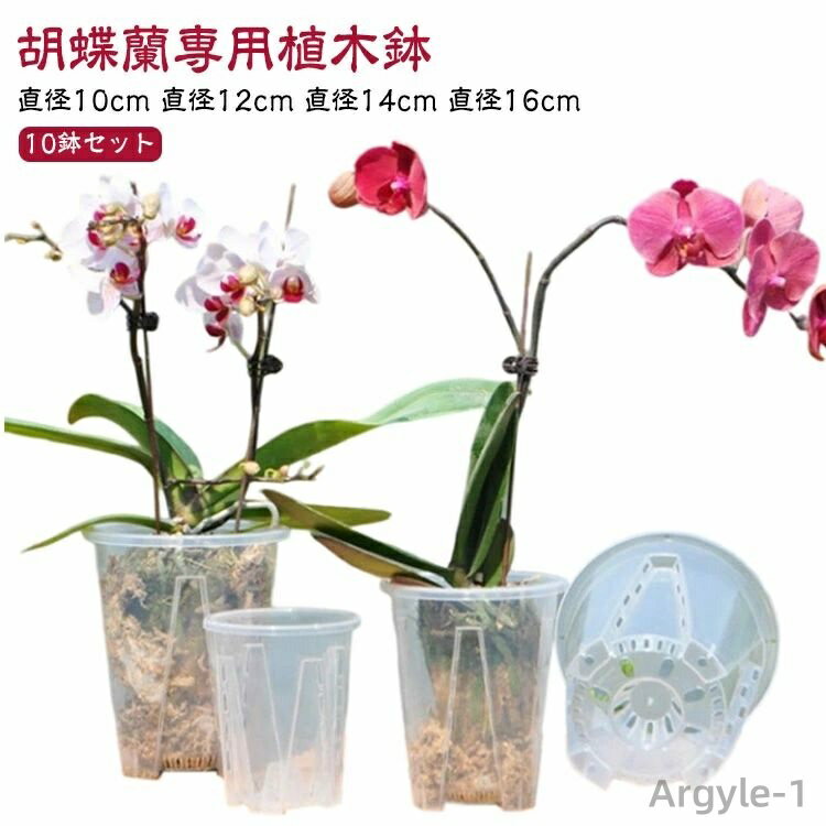 ̵ۿȭ 10ȭå ĳ ȭ Ʃ դ ץ饹å ȭ ĳȭ ȭ   ĳοؤ åɥݥå տʪ ...