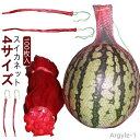 【送料無料】大玉用 吊り下げスイカネット 網 中玉 ネット メッシュネット袋 直売 すいかネット 西瓜 100枚入り スイカ すいか ロープ付き 販売 生産者 ...