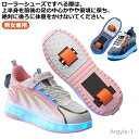【送料無料】スポーツ 2輪タイプ ローラースケート 男女兼用 ローラーブレード スニーカー 大人 メンズ キッズ 大人用 子供用 ローラーシューズ ジュニア カジュアル