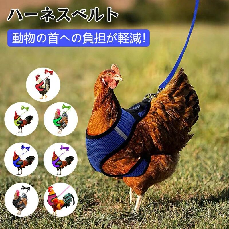 鶏用 リード チキン 鶏 ハーネスベルト 散歩 メッシュチキンベルト アヒルのハーネス Dカン ダック ちょうネクタイ 鶏のトレーニングベルト 調節可能 薄手 通気性 蝶ネクタイ 胴輪 ペット用品 鳥用 アヒル ハーネス 牽引ロープ