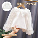シ 白 フォーマル 普段着 通園 秋冬 子供服 女の子 チュール パフスリーブ 襟付き 子供服トップス ブラウス 女の子 シャツ 長袖