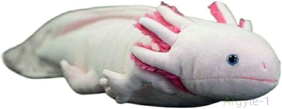 ź���� �դ�դ� ��ʪ ȩ�����ɤ� �ͤ�ͤ� ���å���� �ꥢ�� ���襤�� ���ۥ����ȥ� ưʪ ������ �̤������ �����ѡ��롼�ѡ�