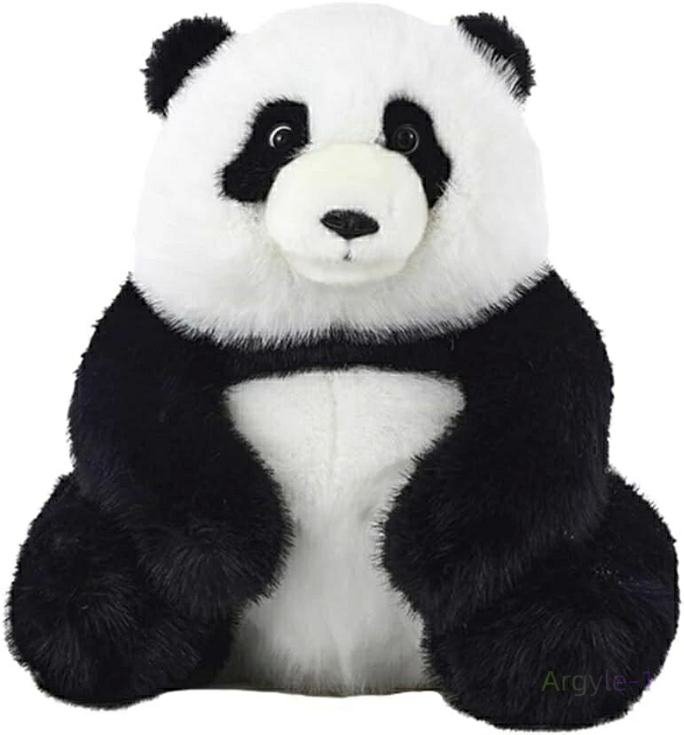 ������ �뿲 ź���� ������ ȩ�����ɤ� �ͤ�ͤ� ���å���� �⤳�⤳ ������ ���襤�� ������ �ꥢ�� ưʪ �̤������ �ѥ��