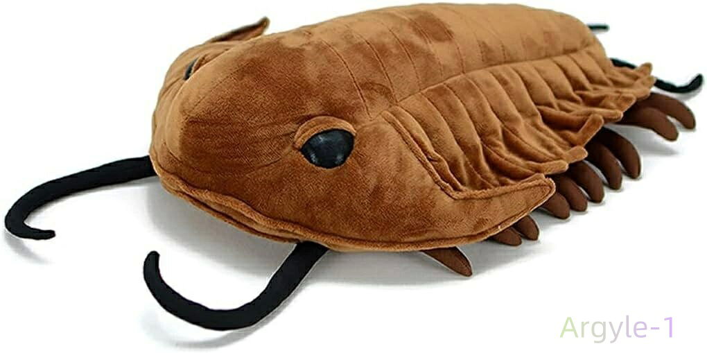  ˨ź İ 餫 å ȩɤ ꥢ 襤  ȥ饤Х ưʪ ̤ 