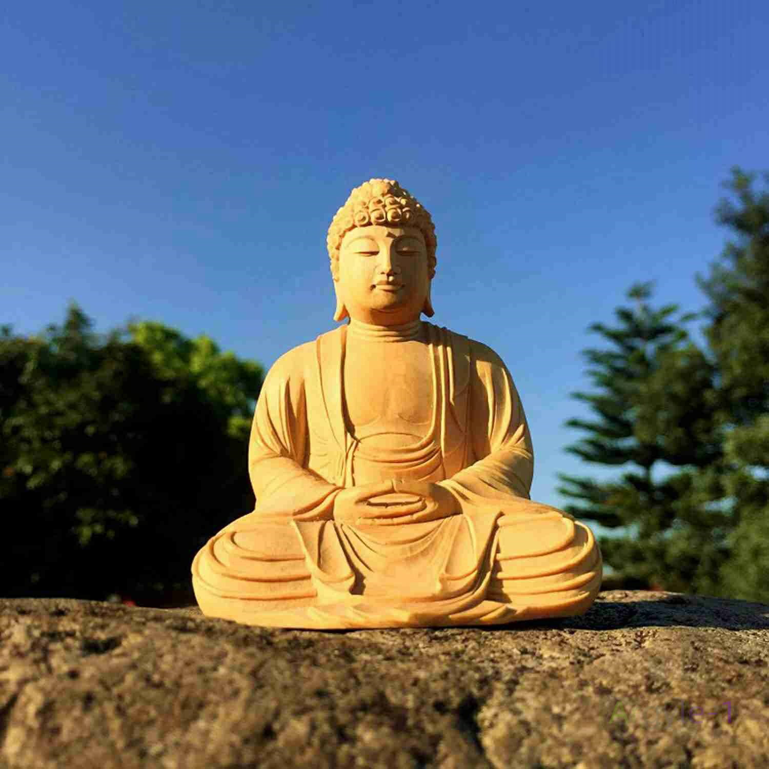   ʩʩ ʪǡۼǡ9cm10.5cm7cmӿĦ Ħ ʩ