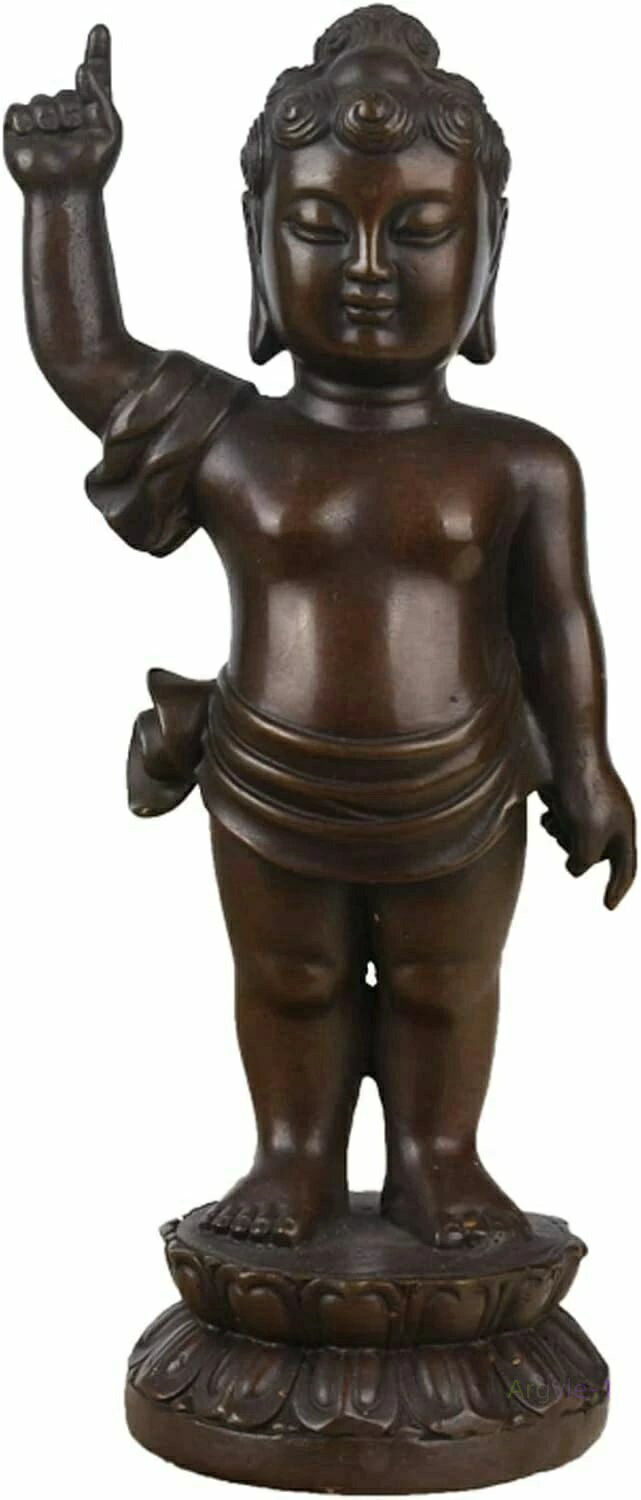 ���å� ���� Ƽ�� ��ʪ ʩ�� ������18cm ������ Ƽ�ʿ�﫡��� ����ʩ���������ʩΩ����