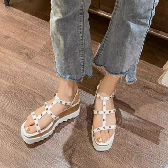 �����å������륵����� ��ǥ����� �� ���塼�� ���쥵����� �ץ�åȥե����� �����å� ���󥯥륹�ȥ�å� �����ץ�ȥ� �ܥ�塼�� ���� ��Ĺ �����奢��...