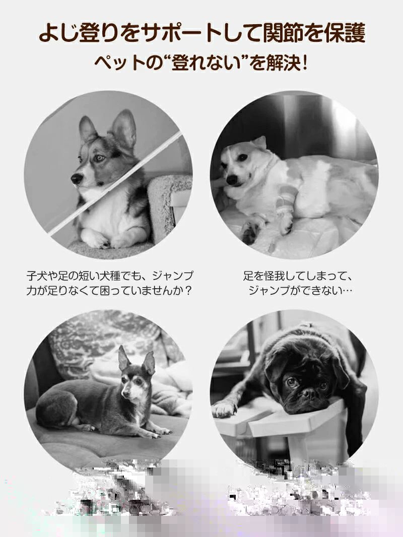 アーガイルのドッグステップ 犬 2段 3段4段ペットステップ 段差 ドッグステップ ペット用 ペット用品 ペットグッズ 犬用品 犬 折り畳み おしゃれ わんこ ワンちゃ 滑り止め付 ベッド 介護 ペット階段 小型犬 ソファー 乗り降りスロープ 滑り止め 耐摩耗 高齢犬 補助ステップ｜アングル3