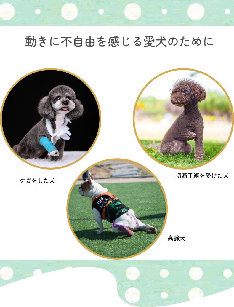 アーガイルの「犬用 介護ハーネス 」全5サイズオールシーズンタイプ＆メッシュタイプ 老犬 高齢犬 リハビリ用 歩行補助ハーネス 中型犬 大型犬 首回り・腰回り調整可能 反射テープ付き｜アングル2