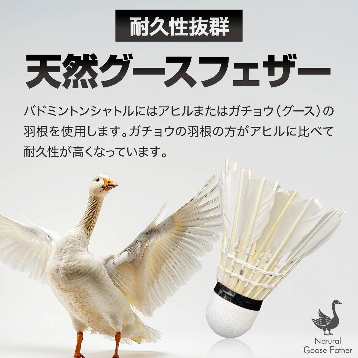 お得に試せる練習用 バドミントン シャトル ーVer2ー ガチョウの羽根 12個入り 1ダ...