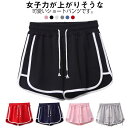 【送料無料】ハーフパンツ ライン サイド ルームウェア 部屋着 大きいサイズ 短パン 2枚セット 夏 スポーツ レディース ショートパンツ