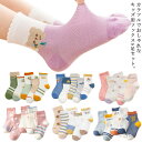 【送料無料】フリル ガールズ くつ下 子供用 ベビーソックス メッシュ 夏 男の子 女の子 靴下 キッズ ショートソックス 5足セット ソックス