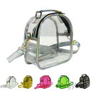 【送料無料】痛バッグ ショルダーバッグ ボディバッグ ウエスト ポーチデコ 透明ポケット ビニール キャンバス地 軽量 痛バ ガールズ