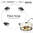 【送料無料】10枚入り 交換用シート 交換用粘着シート ノミ取り ノミトラップ 捕虫器 ノミ退治 ノミ取り 蚊取り器 交換用粘着シート