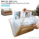 【送料無料】ジャバラ式 半透明 A4 整理ファイル 保管ケース ファイル収納 書類ケース 13ポケット インデックス付 ドキュメントファイル