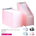 【送料無料】保存 分類 収納 保管 書類 ファイル A4 アコーディオン式 13ポケット 自立型 ドキュメントファイル ジャバラ式