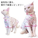 【送料無料】服 犬 ドッグウェア カットソー 薄手 通気性 春夏 キャットウェア ペットウェア 涼しい 服 インスタ映え 韓国風 お散歩 猫 ドッグウェア