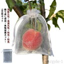 【送料無料】ネット 葡萄園芸 果物保護バッグ 果物袋 りんご袋 防虫ネット 防鳥ネット 果物ネット 100枚入 果実袋 ぶどう袋