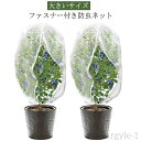 【送料無料】大きいサイズ 植物保護袋 白メッシュ ファスナー付 トマト 300x300cm 防虫ネット 植物保護カバー ネット 果樹