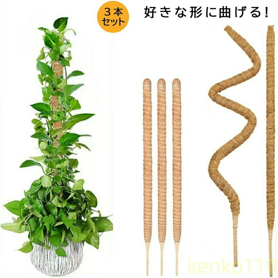 ヘゴ支柱3本セットは、園芸愛好家に最適な製品です。この支柱は、自由に形を変えることができ、つる性植物や観葉植物の成長をしっかりとサポートします。ココナッツ素材を使用しており、水分と養分を維持する特性があります。モンステラや他の植物の支えとして、フラワースタンドやガーデニングに幅広く活用できます。植物の美しい成長を促進し、庭や室内の緑をより引き立てます。