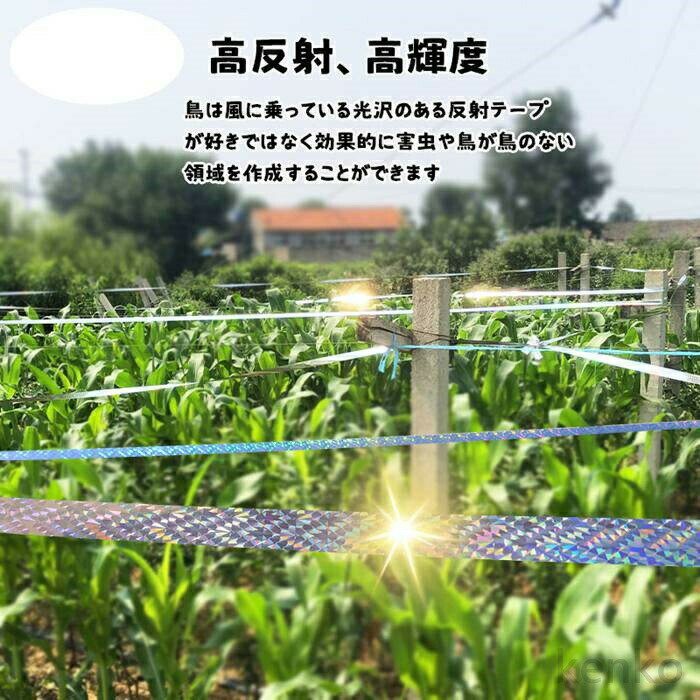 ������̵����Ļ�褱�ơ��� Ļ�� �ơ��� 50m ���饭��ơ��� ȷ�褱 ���饹�褱 ���餹���� ���饹�к� Ļ���к� ��� ��Ļ �ߤ겼���� �� �����ǥ� �ե� �ڱ� �̼� ��Ȫ