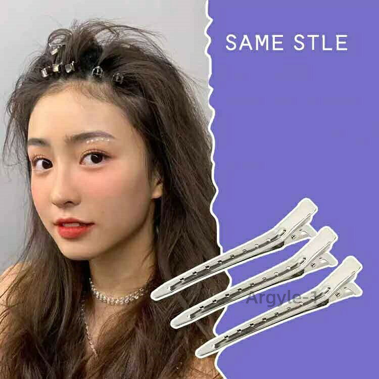 【送料無料】ダッカール 10本セット プロ用 美容室 ヘアクリップ ヘアアレンジ 前髪 巻き髪 髪留め ブロッキング ヘアピン ヘアアクセサリー argyle-10004956 えーあい サンプル画像2