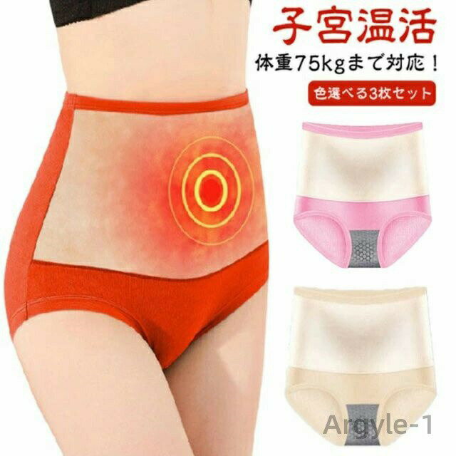 【送料無料】3枚セット 裏起毛ショーツ レディース ショーツ 秋冬 裏起毛 深ばき 腹巻き ハイウエスト 下着 パンツ 暖かい 腹巻きショ..