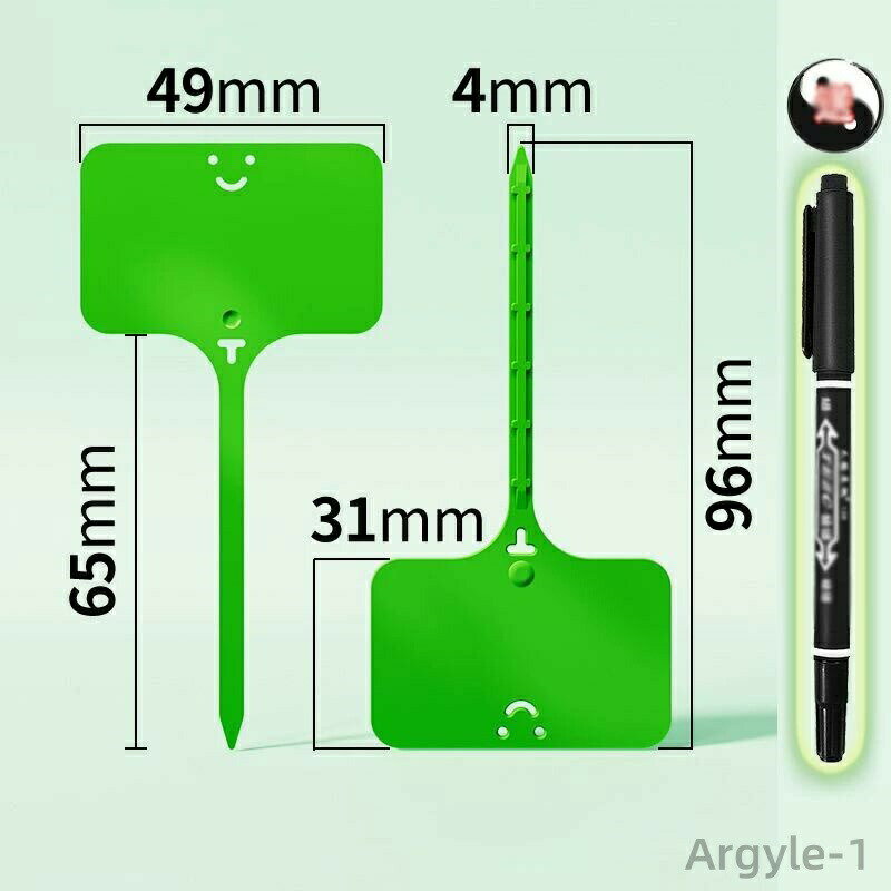 ������̵���۱���ѥ�٥� 100�ĥ��å� �����ǥ˥����� ������� T�� ��ʪ�ѥ��� �͡���ץ졼�� �ե���٥� �͡��ॿ�� �����ǥ�