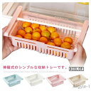 【送料無料】小物入れ 冷蔵庫収納 バスケット 小物収納 卵ケース 収納 小物 2個セット 冷蔵庫トレー 冷蔵庫収納