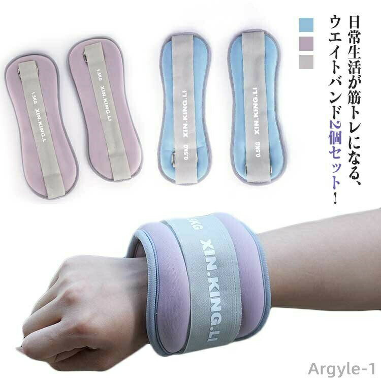 【送料無料】トレーニング 自宅 脚用 足 宅トレ 腕 足首 2個セット アンクルウエイト 在宅筋トレ 重り パワーリスト