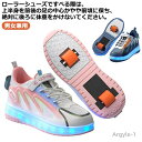 【送料無料】スポーツ 2輪タイプ ローラースケート 男女兼用 ローラーブレード スニーカー 大人 メンズ キッズ 大人用 子供用 ローラーシューズ ジュニア カジュアル