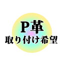 싅 Pv t ] PJo[