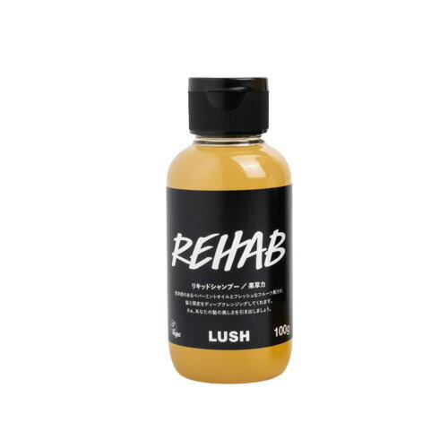 LUSH ラッシュ 果草力 100g シャンプー ヘアケア