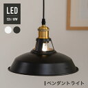 ペンダントライト 1灯 照明 おしゃれ 照明器具 6畳 北欧 シンプル インテリア リビング ダイニング キッチン LED 対応 天井照明 スチール 居間用 ダイニング用 食卓用 寝室 送料無料 aa ledcl-dd03