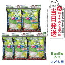 【5個セット】白元アース 快適ガード プロ プリーツタイプ マスク 5枚入 ホワイト こども用 園児・低学年サイズ( 80X125mm 使い捨て不織布マスク)