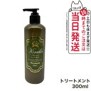 ヘアケアグッズ（予算3000円以内） 【国内正規品】ALEN アレン Kimeha キメハ きめしゃん ノンシリコン トリートメント 300ml ヘアケア サロン専売品 弱酸性 ノンシリコン 送料無料