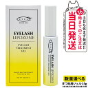 【国内正規品】アイズ アイラッシュリポゾーン N2 15g EYEZ まつ毛美容液 まつげ美容液 まつ毛用ジェル まつげ用ジェル 睫毛 まつげ 1/2/3/5/10本 マツエク 美容液 マスカラブラシ リンゴ幹細胞 伸びる まつげ美容液 まつ毛トリートメントまつ毛専用美容液 アイズ