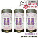 【3個セット ポスト投函】EstheProLabo エステプロラボ ウィメンズエスト グランプロ 女性用 美容サプリ 健康食品 サプリメント スティックタイプ 180g(6g×30包) 箱無し